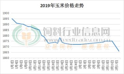 山东玉米今日最新行情,山东玉米今日最新行情分析
